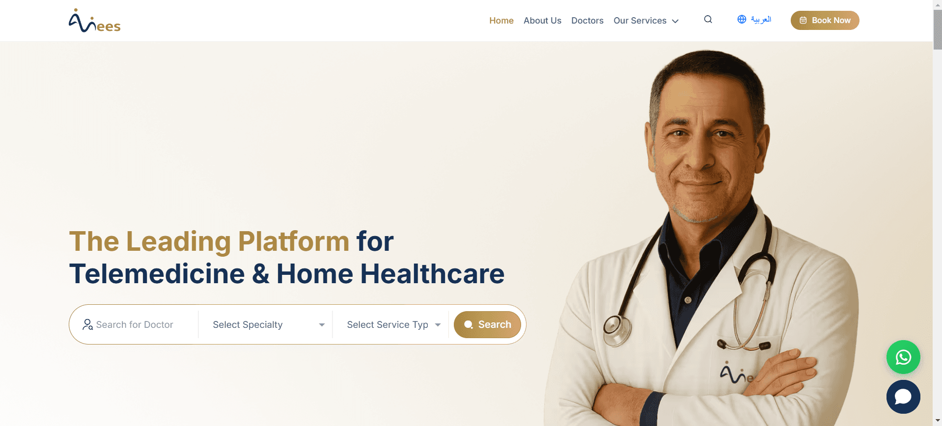 Anees Health platform landing page